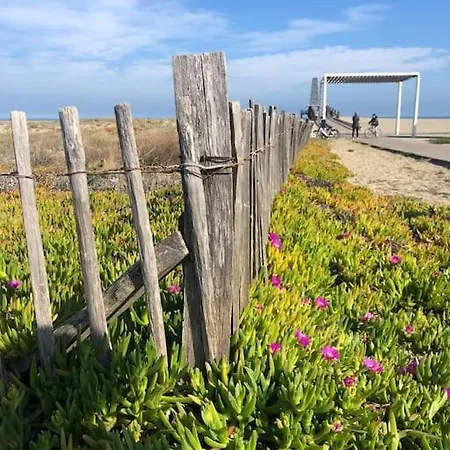 Les Voiles Blanches T2 Luxe à 100m De La Appartement *