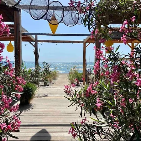 Les Voiles Blanches T2 Luxe A 100m De La