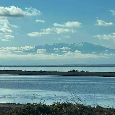 Apartamento Les Voiles Blanches T2 Luxe à 100m De La Leucate