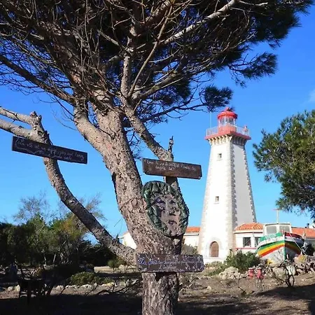 Les Voiles Blanches T2 Luxe A 100m De La Apartment *