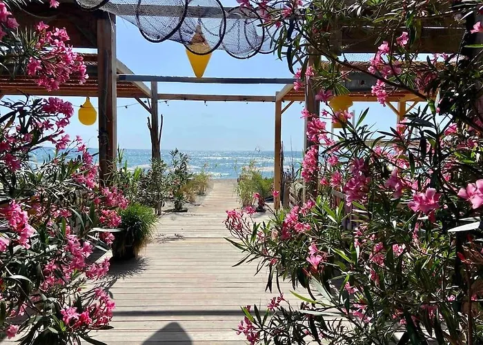 Les Voiles Blanches T2 Luxe à 100m De La