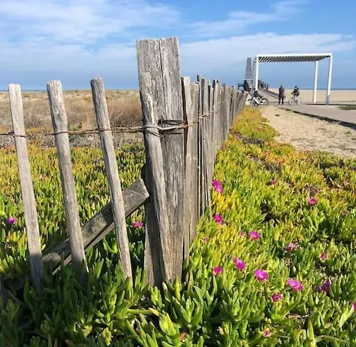 Les Voiles Blanches T2 Luxe à 100m De La Apartamento *
