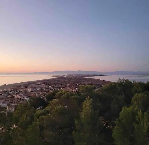 Les Voiles Blanches T2 Luxe à 100m De La Apartamento