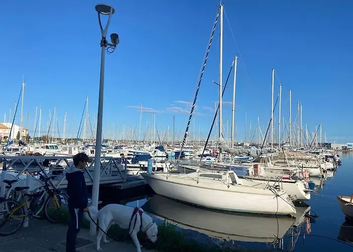 Les Voiles Blanches T2 Luxe A 100m De La